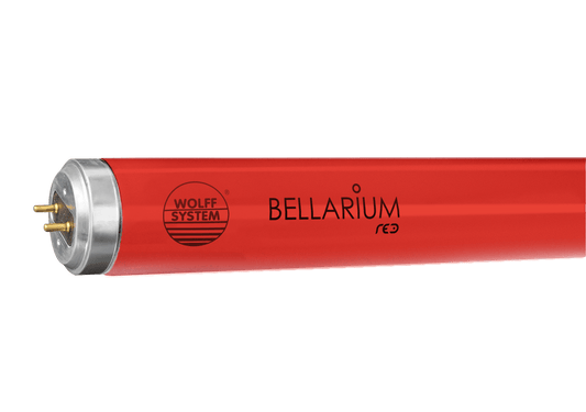 WOLFF SYSTEM Bellarium red